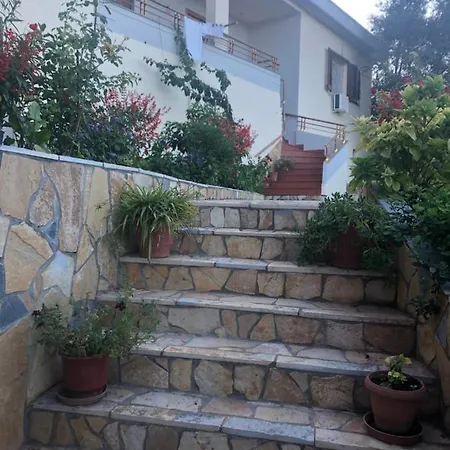Panorama *